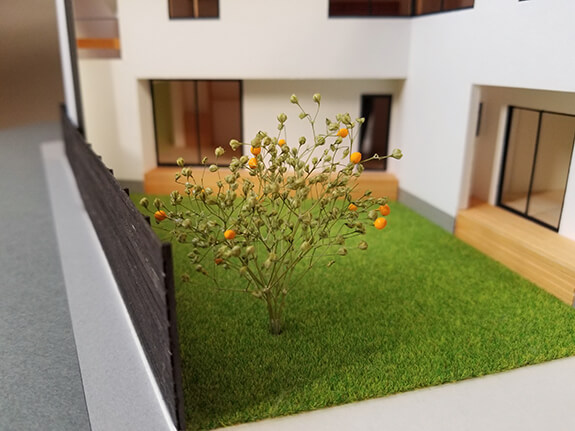展示用の住宅模型にミカンの木が植わる ミカンの木の育つ二世帯住宅 東京の建築家 設計事務所アーキプレイスの家づくりブログ