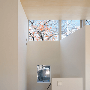 DouglasLaingEpicurean&TheIleachCASK(桜並木様 桜並木に囲まれ