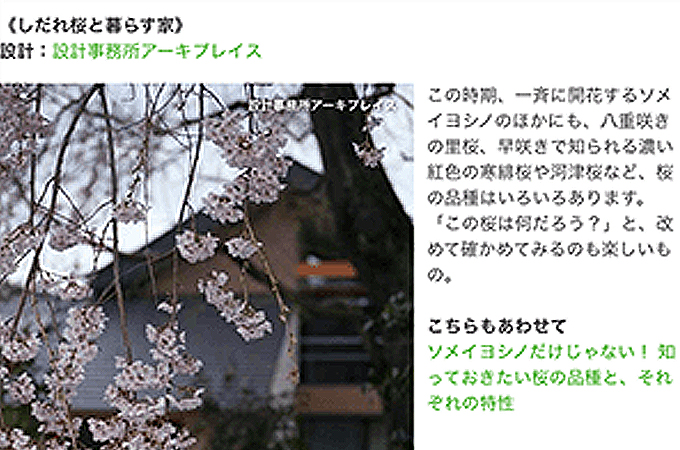 Houzz ハウズ日本版の 春爛漫 桜を楽しむ家 と ソメイヨシノだけじゃない 知っておきたい桜の品種と それぞれの特性 いう二つ記事に しだれ桜と暮らす３世代の家 が掲載されました 東京 設計事務所アーキプレイス 敷地と建て主のライフスタイルを